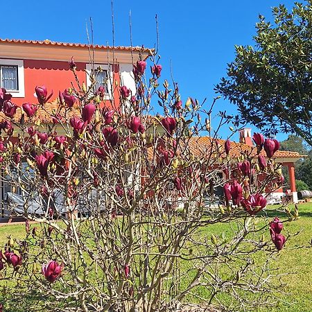 Casa Da Ria - Turismo Rural Ílhavo Exteriér fotografie
