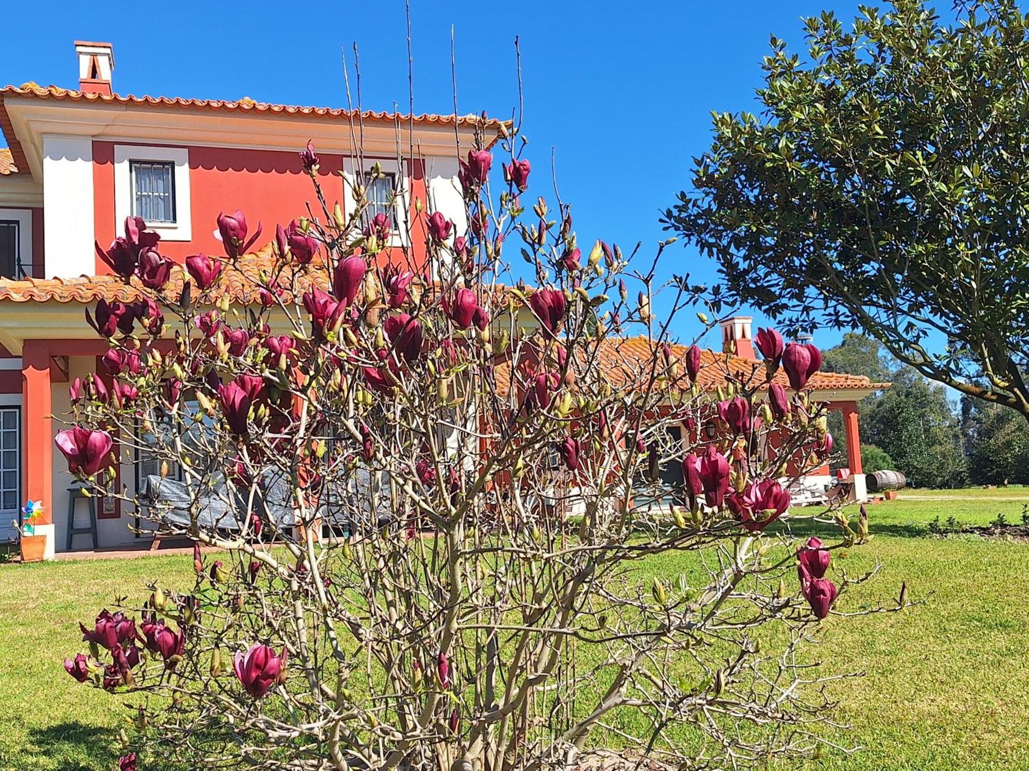 Casa Da Ria - Turismo Rural Ílhavo Exteriér fotografie