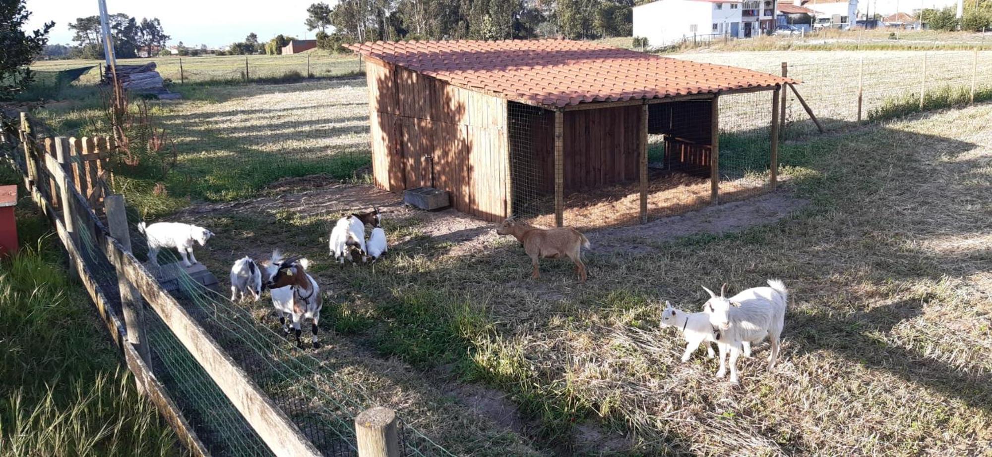 Casa Da Ria - Turismo Rural Ílhavo Exteriér fotografie